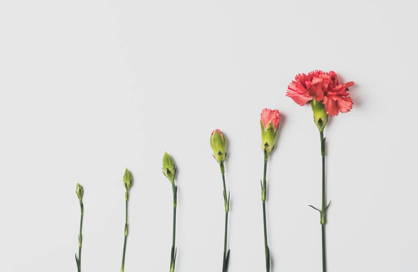 What happens if you invest 500,000 VND every month for 10 years?